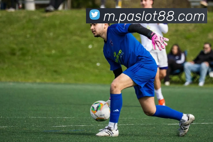 App Interface Preview