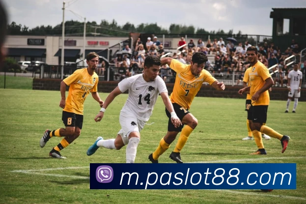 PA视讯APP 封面图